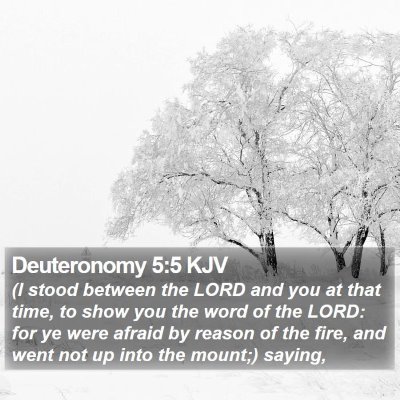 Deuteronomy 5:5 KJV Bible Verse Image
