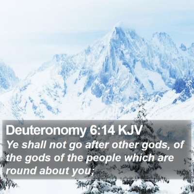 Deuteronomy 6:14 KJV Bible Verse Image
