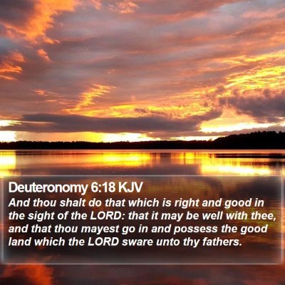 Deuteronomy 6:18 KJV Bible Verse Image