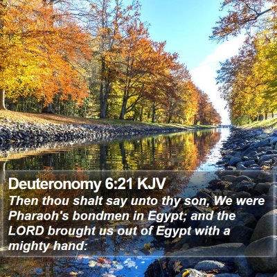 Deuteronomy 6:21 KJV Bible Verse Image