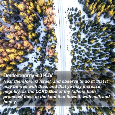 Deuteronomy 6:3 KJV Bible Verse Image