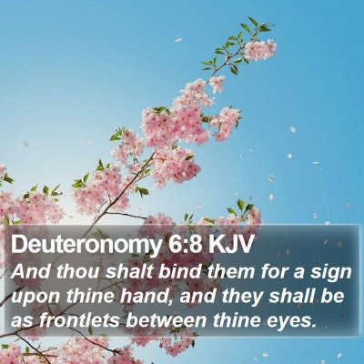 Deuteronomy 6:8 KJV Bible Verse Image