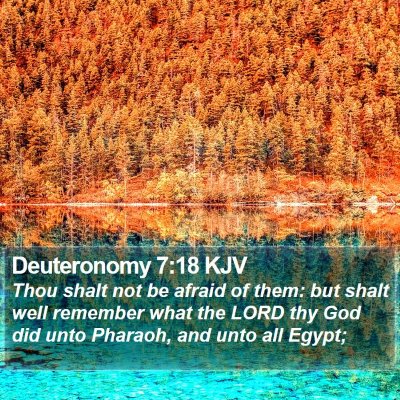Deuteronomy 7:18 KJV Bible Verse Image