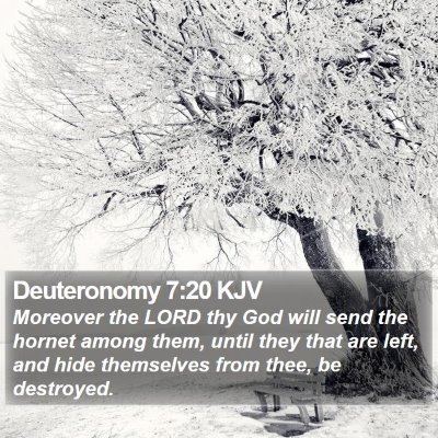 Deuteronomy 7:20 KJV Bible Verse Image