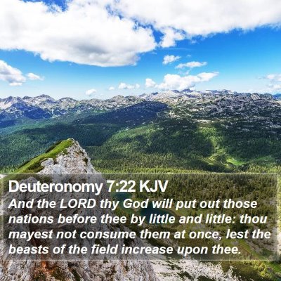Deuteronomy 7:22 KJV Bible Verse Image