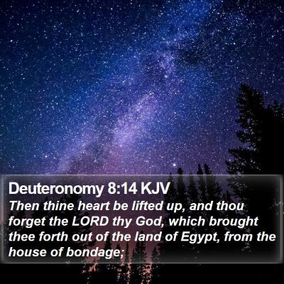 Deuteronomy 8:14 KJV Bible Verse Image