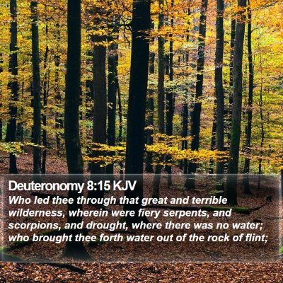 Deuteronomy 8:15 KJV Bible Verse Image