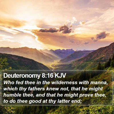 Deuteronomy 8:16 KJV Bible Verse Image