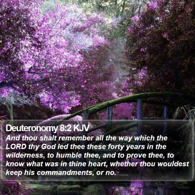 Deuteronomy 8:2 KJV Bible Verse Image