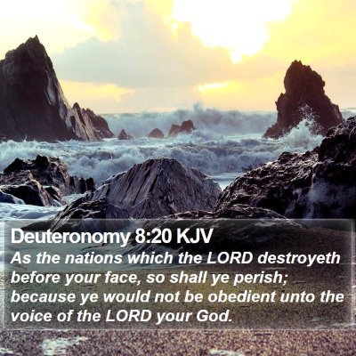 Deuteronomy 8:20 KJV Bible Verse Image