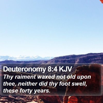 Deuteronomy 8:4 KJV Bible Verse Image