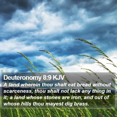 Deuteronomy 8:9 KJV Bible Verse Image