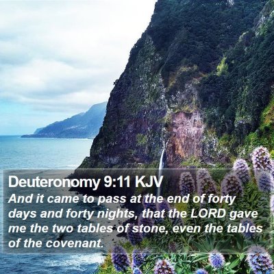 Deuteronomy 9:11 KJV Bible Verse Image