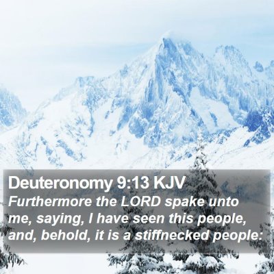 Deuteronomy 9:13 KJV Bible Verse Image