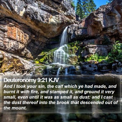 Deuteronomy 9:21 KJV Bible Verse Image