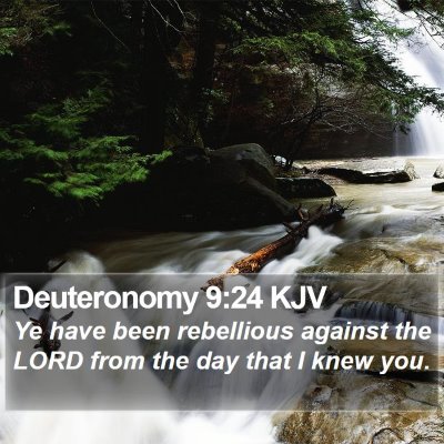 Deuteronomy 9:24 KJV Bible Verse Image