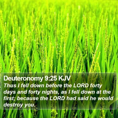 Deuteronomy 9:25 KJV Bible Verse Image