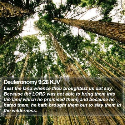 Deuteronomy 9:28 KJV Bible Verse Image