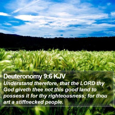 Deuteronomy 9:6 KJV Bible Verse Image