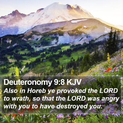 Deuteronomy 9:8 KJV Bible Verse Image