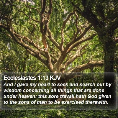 Ecclesiastes 1:13 KJV Bible Verse Image