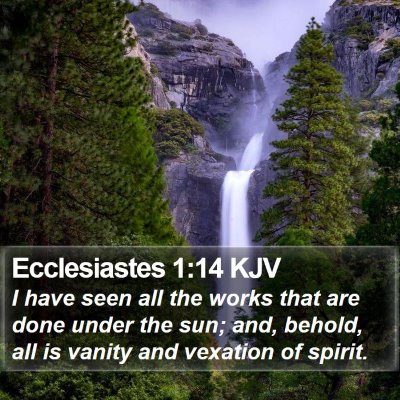 Ecclesiastes 1:14 KJV Bible Verse Image