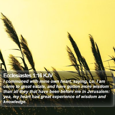 Ecclesiastes 1:16 KJV Bible Verse Image