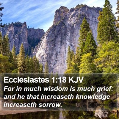 Ecclesiastes 1:18 KJV Bible Verse Image