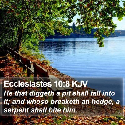 Ecclesiastes 10:8 KJV Bible Verse Image