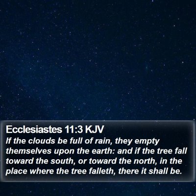 Ecclesiastes 11:3 KJV Bible Verse Image