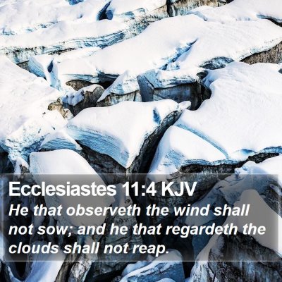 Ecclesiastes 11:4 KJV Bible Verse Image