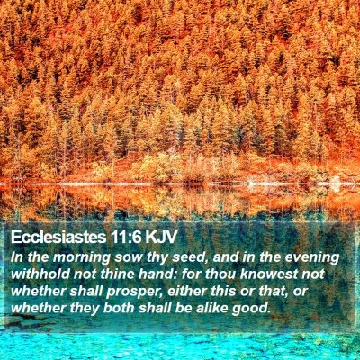 Ecclesiastes 11:6 KJV Bible Verse Image