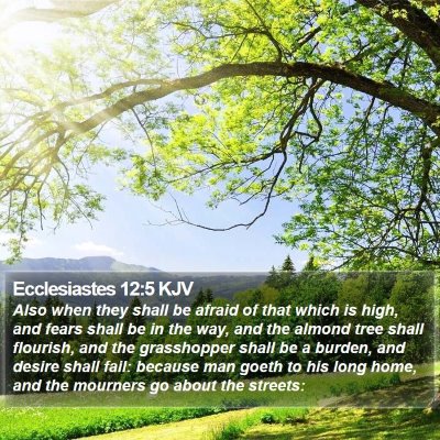 Ecclesiastes 12:5 KJV Bible Verse Image