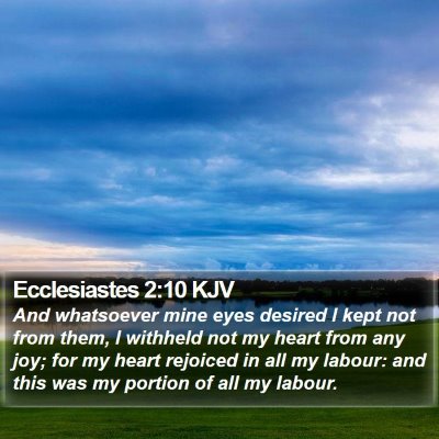 Ecclesiastes 2:10 KJV Bible Verse Image