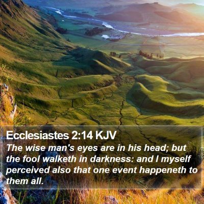 Ecclesiastes 2:14 KJV Bible Verse Image