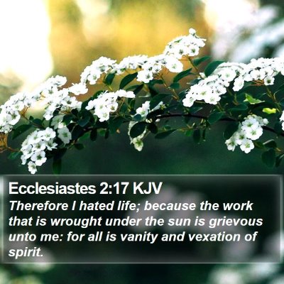 Ecclesiastes 2:17 KJV Bible Verse Image