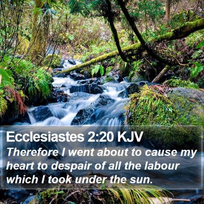 Ecclesiastes 2:20 KJV Bible Verse Image