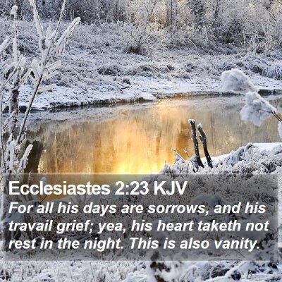 Ecclesiastes 2:23 KJV Bible Verse Image