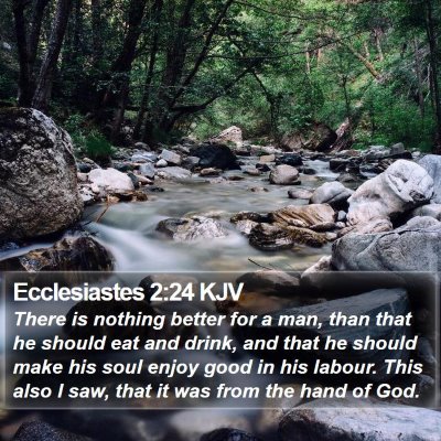 Ecclesiastes 2:24 KJV Bible Verse Image
