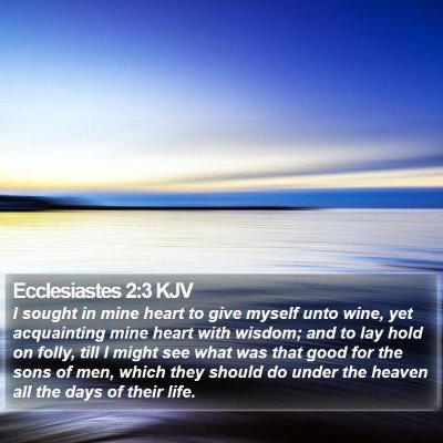 Ecclesiastes 2:3 KJV Bible Verse Image