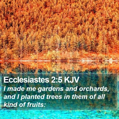 Ecclesiastes 2:5 KJV Bible Verse Image
