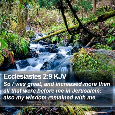 Ecclesiastes 2:9 KJV Bible Verse Image