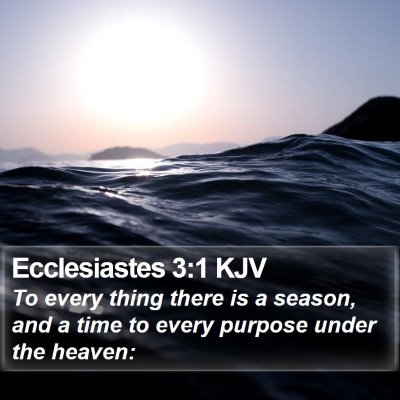 Ecclesiastes 3:1 KJV Bible Verse Image