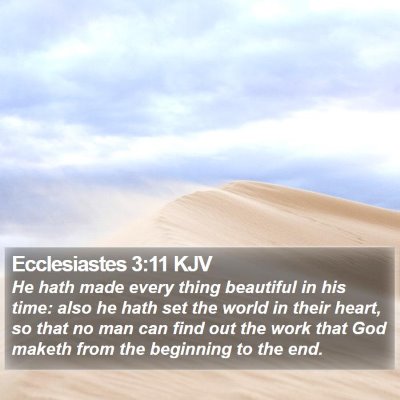 Ecclesiastes 3:11 KJV Bible Verse Image