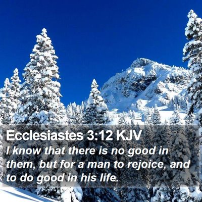 Ecclesiastes 3:12 KJV Bible Verse Image