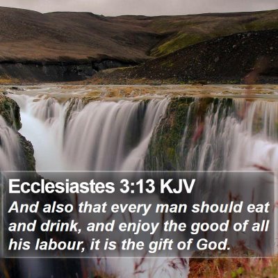 Ecclesiastes 3:13 KJV Bible Verse Image