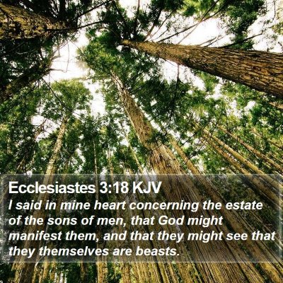 Ecclesiastes 3:18 KJV Bible Verse Image