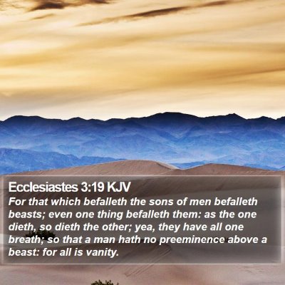 Ecclesiastes 3:19 KJV Bible Verse Image