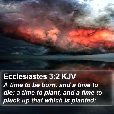 Ecclesiastes 3:2 KJV Bible Verse Image