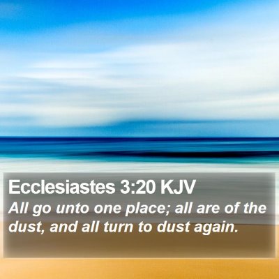 Ecclesiastes 3:20 KJV Bible Verse Image